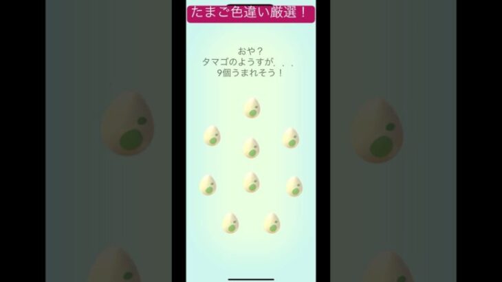 色違いベビィポケモンが欲しい！part3#ポケモンgo #ポケモン #shorts #short #pokemongo #pokemon