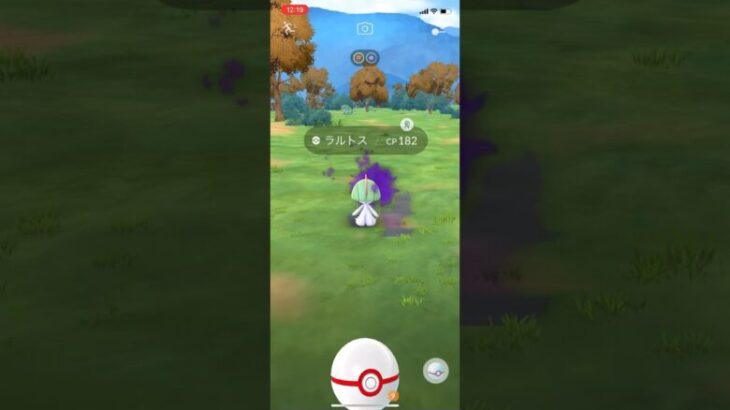 色違いが欲しかった、、#shorts #pokemongo #pokemon #ポケモンgo #ポケモン #ポケgo