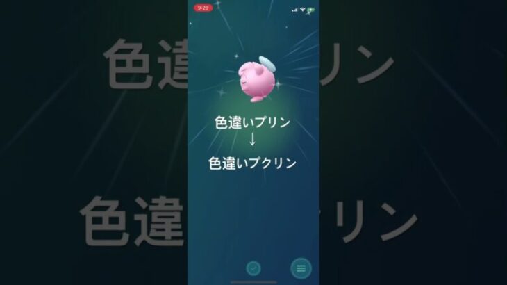 ポケモンGO 正月仕様のリボンをつけた色違いプリン出現！色違いプクリンへ進化！