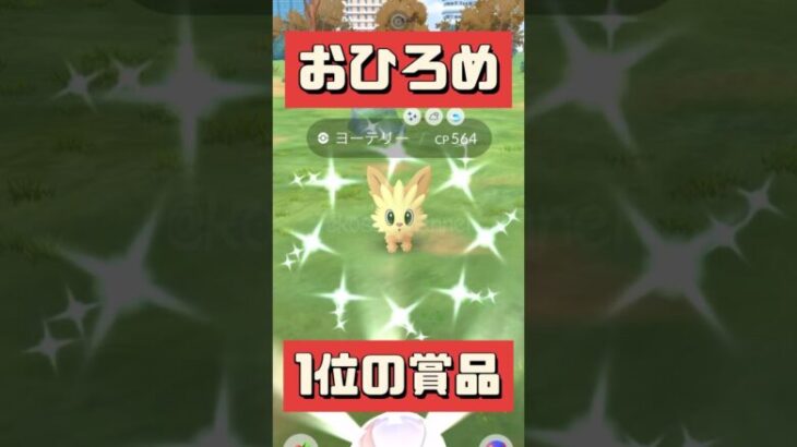 ポケモンGO】 おひろめ1位になったら注意すること！おひろめするといいことあるんです！ #Dr.ピカチュウ #おひろめ #ポケモンGO #こうせいちゃんねる #shorts