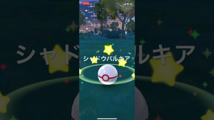 ポケモンGO GOロケット団サカキを倒してシャドウパルキアをゲット！ #pokémon #ポケモンgo #ポケgo