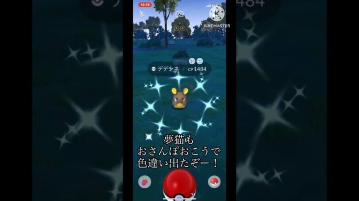 【ポケモンGO】久しぶりの色違いだぁぁぁ⁉︎ #ポケモンgo #ポケモン #色違い #おさんぽおこう #デデンネ #shorts