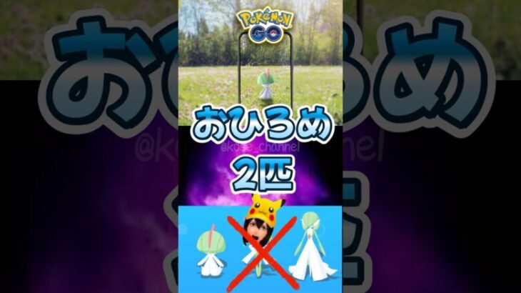 【ポケモンGO】おひろめはコミュデイポケモン！タイムチャレンジ報酬のポケモン一覧！ #pokemongo #おひろめ #タイムチャレンジ #shorts