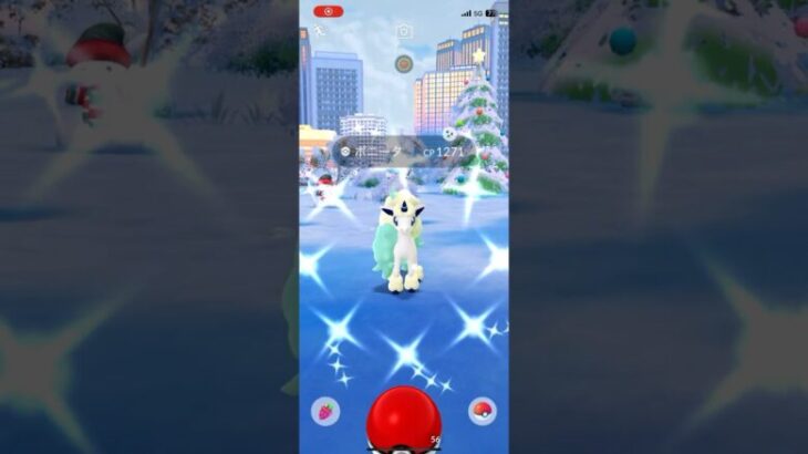 【ポケモンGO】今年最後のコミュニティデイ2日目！ポニータ二匹目✨ #ポケモン #ポケモンgo #ポケgo #pokemongo #pokemon #ポケモンgoplus #ポケモンgo色違い