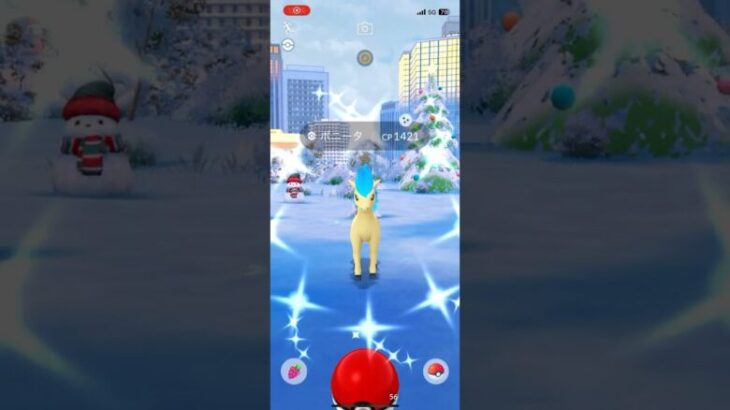 【ポケモンGO】今年最後のコミュニティデイ2日目！ポニータ✨ #ポケモン #ポケモンgo #ポケgo #pokemongo #pokemon #ポケモンgoplus #ポケモンgo色違い