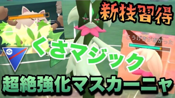 『ポケモンGO』SL1位ゲット👑コミュデイで新技が大量で激強マスカーニャ【スーパーリーグ】 #ポケモン #ポケモンgo #gbl #pokemongo #pokemon #ゲーム #ゲーム実況