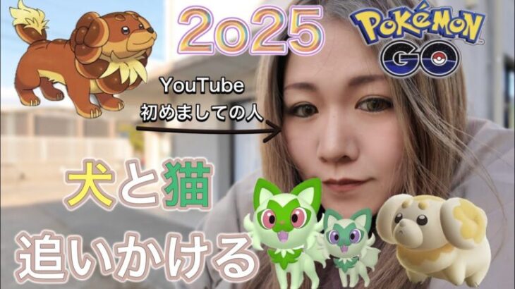 【ポケモンGO】YouTube初心者がパピモッチとニャオハを追いかけるやで(* ‘ᵕ’ )☆色違いっ♪高個体っ♪