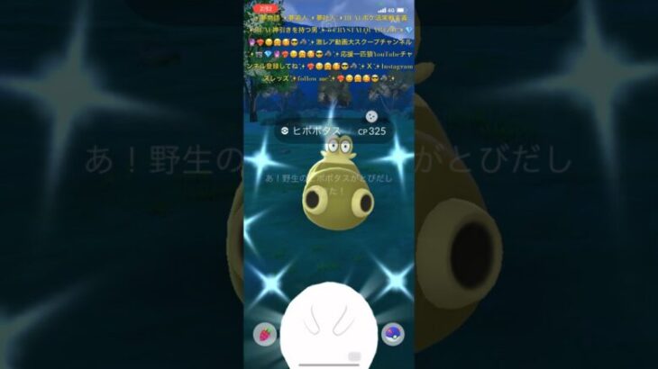 ✨【緊急動画ＵＰ】【ポケモンGO】【野生色違いピポポタス降臨】【鳴き声が謎で可愛い件】🦛📹💎🔮❤️‍🔥😉🤗🥰😎🐺✨寒過ぎて🙈🥺✨手がかじかんで🙈🥺✨　#pokemongo