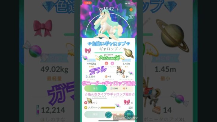 🎠色違いギャロップ🎀ポニータ→ギャロップに進化💝ガラルギャロップ💎PokémonGO🪐🎀💫