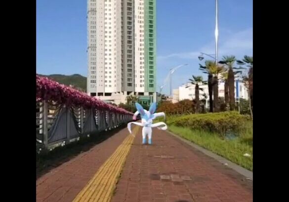 님피아 ( Sylveon ) ニンフィア ( 仙子伊布 )