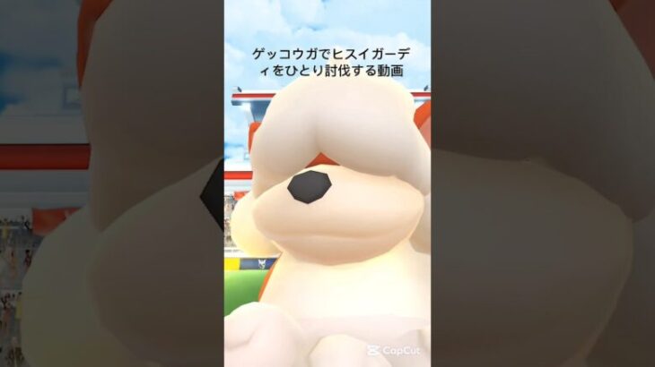 【ヒスイガーディひとり討伐※普通】 #ポケモン #ポケモンgo #ガーディ #ヒスイガーディ