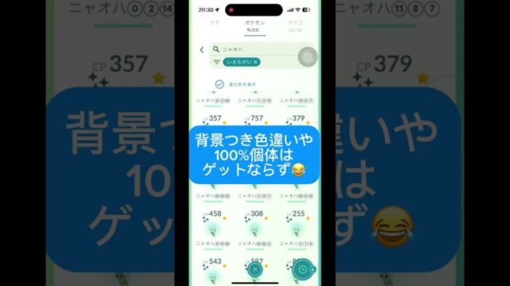 コミュニティデイでニャオハの色違い捕獲！#ポケモンgo #ポケモンgo初心者 #ポケモンgo好きと繋がりたい #色違いポケモン #コミュニティデイ #shorts