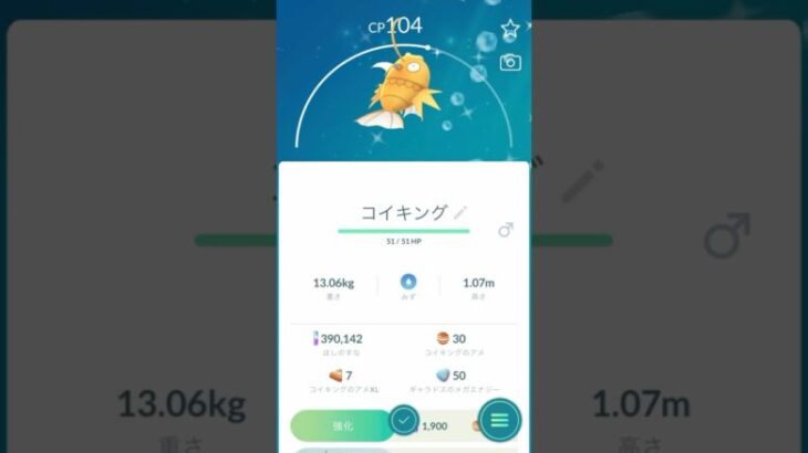 【 ポケモンgo 】ポケgo始めて約9年弱ようやく初！コイキング 色違い！金色コイキング！【 うさぴよの巣 】#pokemon #magikarp