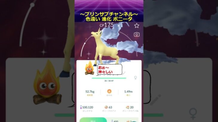 🐲色違い 進化🐦 ポニータ から ギャロップ  ポケモンgo with 茅原実里 / Paradise Lost #ギャロップ #pokemongo #茅原実里 #paradiselost