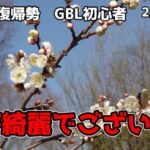 GBL初心者　梅を眺めて現実逃避、結局使い慣れたポケモンが良さそう【ポケモンGO】【GOバトルリーグ】【ラブラブカップ】