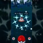 【ポケモンGO】 コソクムシ（色違い） 捕獲動画！！