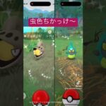 ポケモンGO 色違い　2月コミュニティデイ。#shorts #pokemon #ポケモン #ポケモンgo #コミュニティデイ