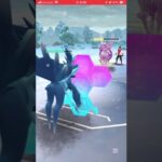 ポケモンGOバトルリーグ　マスターリーグ 796