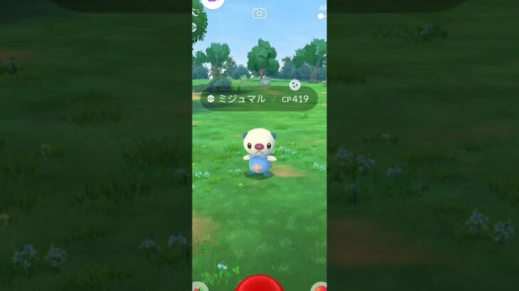 奇跡の遭遇！まさかの色違いミジュマル降臨！【ポケモンGO】 #ポケモン #ポケモンGO #ポケモンgo色違い #イッシュ地方 #イッシュ #ポケモンgo好きと繋がりたい #ポケモンgoまだやってます