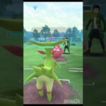 ポケモンGO ハイパーリーグ　#ポケモンgoバトルリーグ