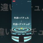 ポケモンGO 色違いバチュル出現！色違いデンチュラへ進化！ #pokémon #ポケモン #ポケモンgo #ポケgo