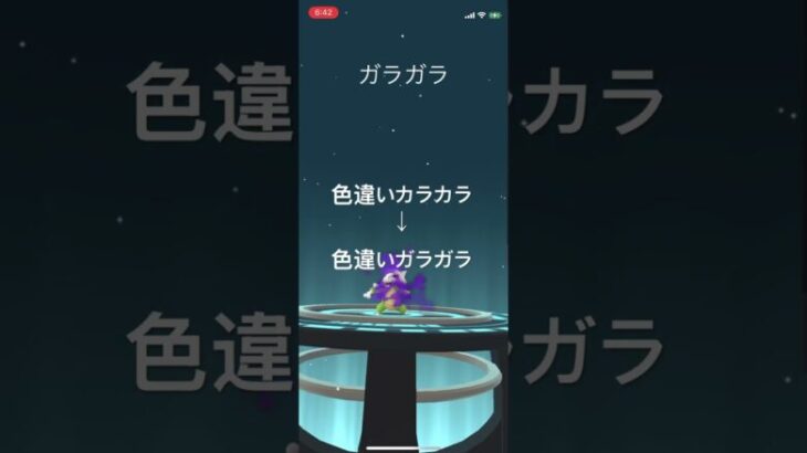 ポケモンGO 色違いシャドウカラカラ出現！色違いシャドウガラガラへ進化！ #pokémon #ポケモン #ポケモンgo #ポケgo