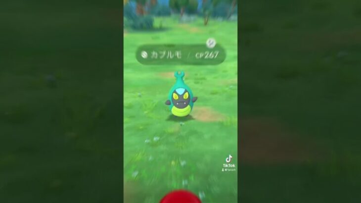 「ポケモンGO」コミュニティデイお疲れ様でした！色違いは合計27匹でました　#ポケモンgo #ポケgo #ポケモン #コミュニティデイ#チョボマキ#カブルモ#色違い#チョボマキ色違い#カブルモ色違い