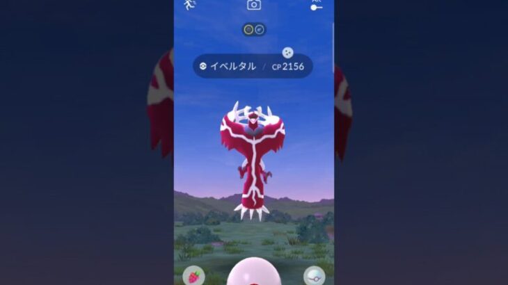 個体値ヤバい!!　　　                                              #ポケモンGO#ポケモン伝説色違い#ポケGO#ポケモン色違い#ポケモン