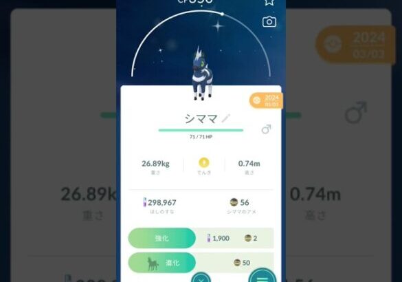 ポケモンGO#shiny　シママ色違い進化してみた！！