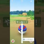 #ポケモンgo カブルモコミデイ結果