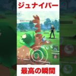 きみ、ジュナイパー重くない？？#ポケモンgo #gbl #スーパーリーグ