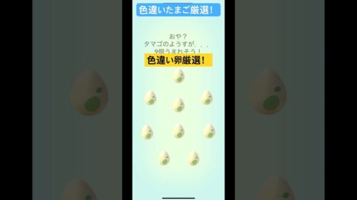 色違い卵厳選でまさかの！？ソーナノ出るの！？#pokemon #ポケモンgo #shorts #short #ポケモン