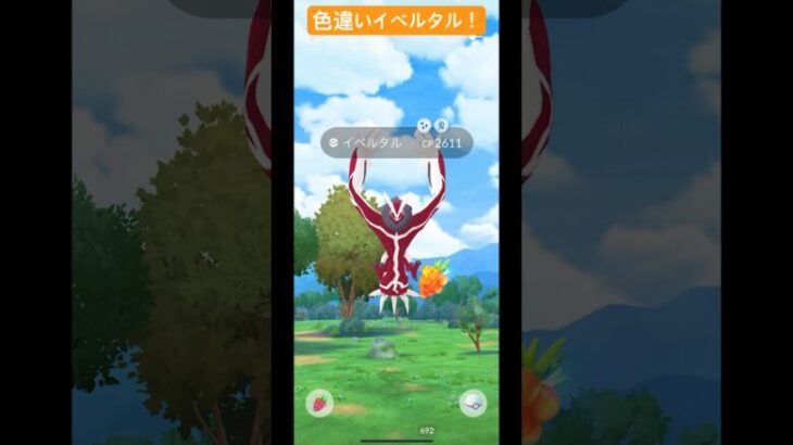 色違いイベルタル！個体値が気になるところ！#shorts #short #pokemon #pokemongo #ポケモンgo #ポケモン