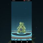 ヨーギラスへの進化　ポケモンGO　無課金