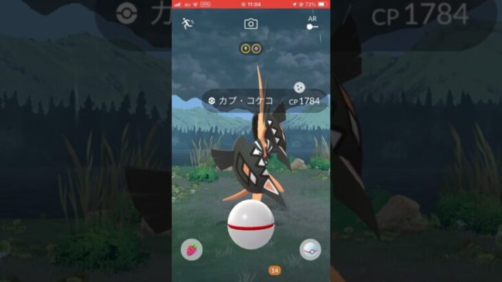 色違いカプコケコが出た❗️【ポケモンGO】#レイド