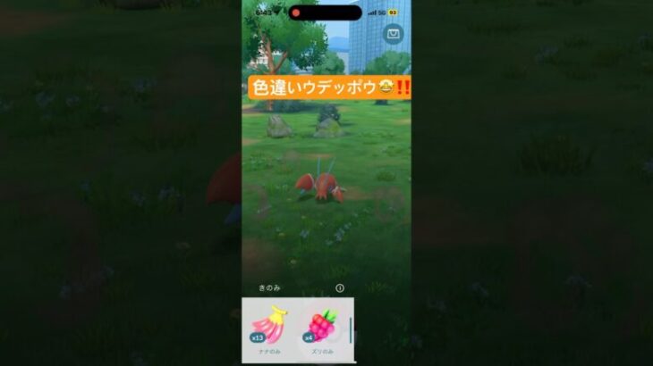 色違いウデッポウ🤩‼️  ポケモンGO