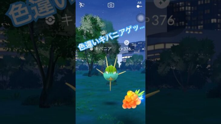 色違いキバニアゲットせよ！ポケモンGO野生のレアポケモン、はじめての図鑑登録