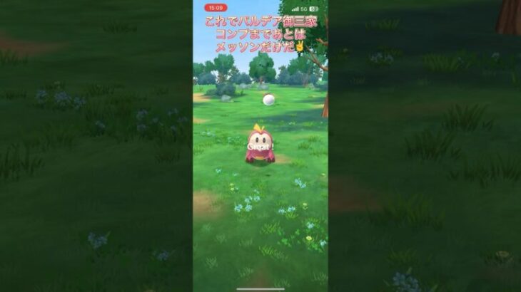 ポケモンGO コミュニティデイにて色違いホゲータ初登場✨CPは低いですが😂