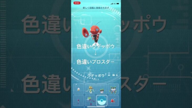 ポケモンGO 色違いウデッポウ出現！色違いブロスターへ進化！ #pokémon #ポケモンgo #ポケモン #pokemongo #ポケgo