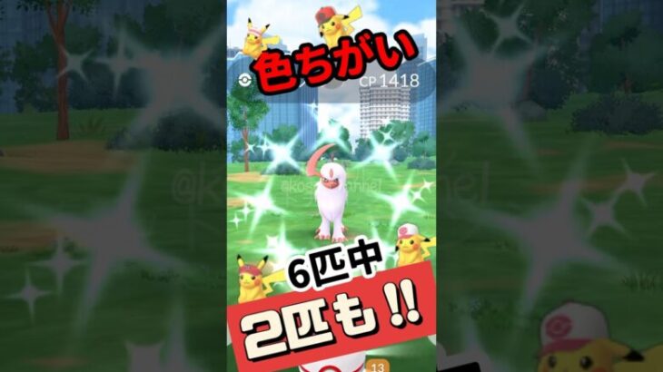 【ポケモンGO】【おひろめ】氷山の全容バグ発見⁉️ カプ・コケコの色違いゲット！欲しくない時に出る法則！メガアブソル色ちがい確率凄すぎる！ #pokemongo #shorts #おひろめ