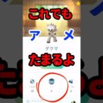 【ポケモンGO】ダクマのアメをかんたんにためる方法！毎日コツコツ！ ダイマックスダクマの攻撃の瞬間も！ #pokemongo #ダクマ #shorts