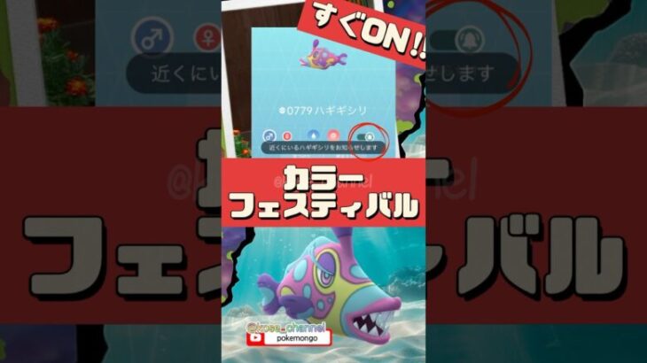 【ポケモンGO】カラーフェスティバル攻略！色違いハギギシリ＆ドーブルの狙い方！メガラグラージ対策と伝説レイド対策！ #pokemongo #色ちがいハギギシリ狙う方法 #shorts