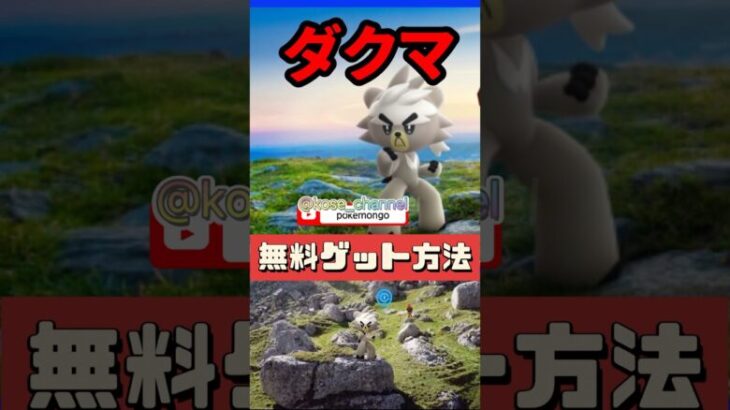 【ポケモンGO】ダクマ無料ゲット方法！2匹目の秘密も公開！今日から大発見かわるよ！ #pokemongo #ダクマ ＃shorts