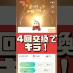 【ポケモンGO】まだ終わらない！ホゲータの無料背景GET法！4回でキラポケモン⁉︎奇跡の瞬間‼︎  #pokemongo #ホゲータキラ確率 #shorts