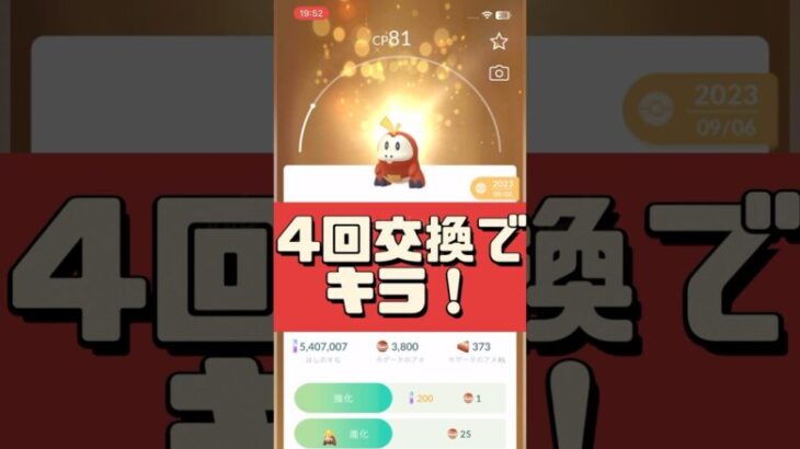 【ポケモンGO】まだ終わらない！ホゲータの無料背景GET法！4回でキラポケモン⁉︎奇跡の瞬間‼︎  #pokemongo #ホゲータキラ確率 #shorts