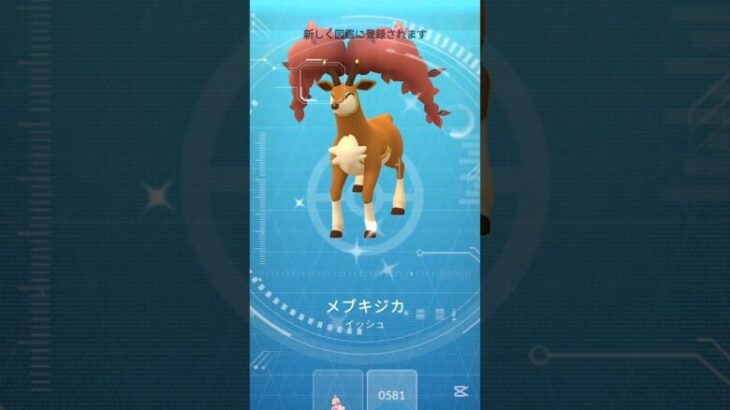 【ポケモンGO】GOツアーイッシュ2日目の色違いポケモン