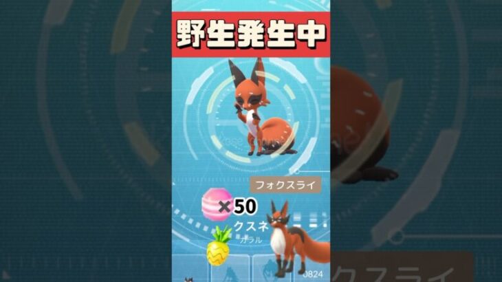 【ポケモンGO】クスネ捕まえるコツとふしぎなアメXL確定でもらえる方法！伝説レイド2人討伐も可能！！ #pokemongo #クスネ #shorts