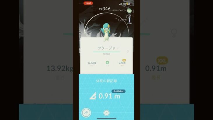 ポケモンGO色違いXXLツタージャキター!!!!! #pokemongo #pokemon #ポケモンgo #ポケgo #ポケモン