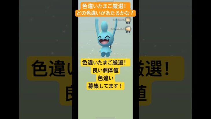 色違いたまご厳選！ポケモンGOで色違いが欲しい！いい個体値も待ってます！#ポケモンgo #ポケモン #shorts #short #pokemongo #pokemon