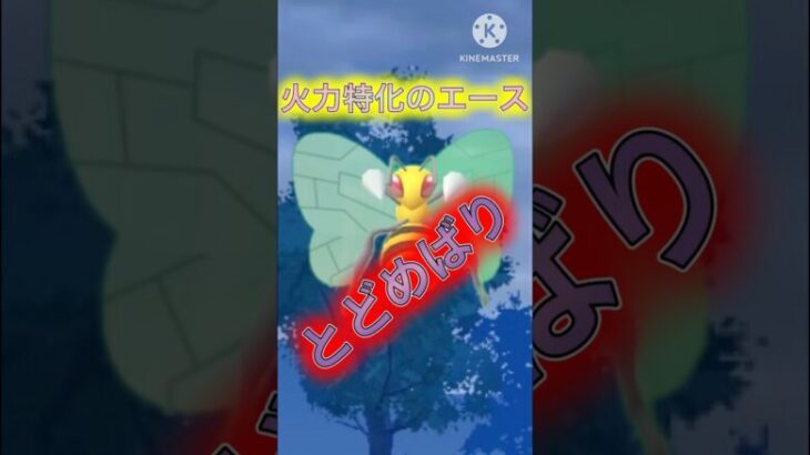 【ポケモンGO】オフで会ったじんあーさんとマイナー対決！スピアー最強wwwwwwwww(スーパーリーグ)#ポケモンgo #goバトルリーグ #shorts